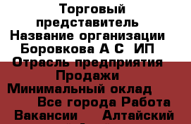 Торговый представитель › Название организации ­ Боровкова А.С, ИП › Отрасль предприятия ­ Продажи › Минимальный оклад ­ 28 000 - Все города Работа » Вакансии   . Алтайский край,Алейск г.